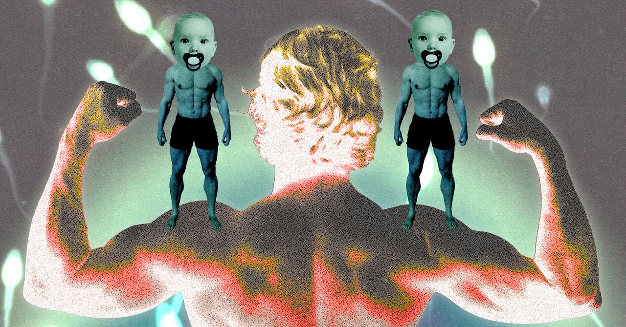Wired revela: Sperm-Maxxing Bros acertam sobre fertilidade